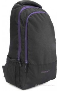 Wildcraft 17 inch Laptop Backpack(Black)